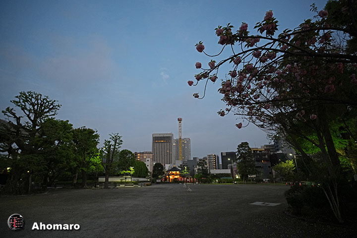 �ʐ^00