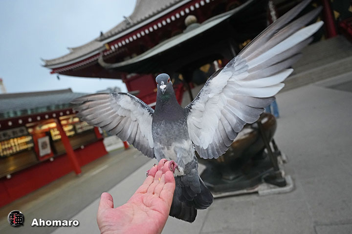 �ʐ^00