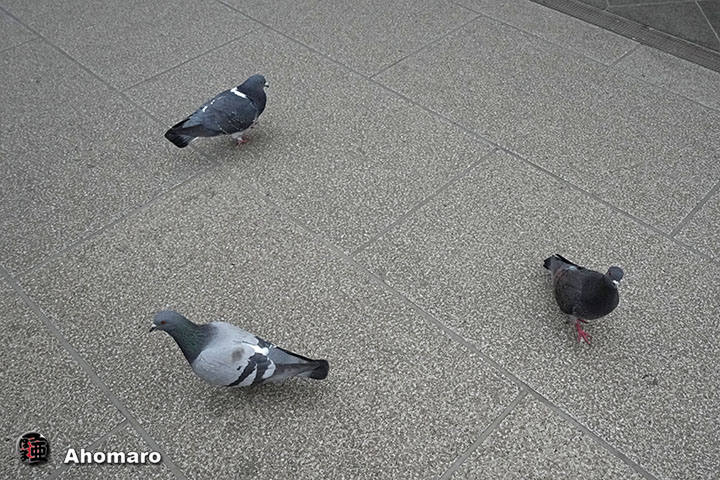 �ʐ^00