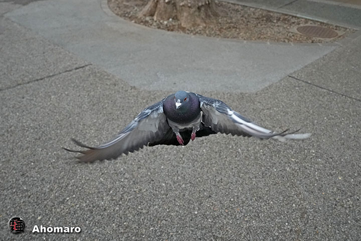 �ʐ^00