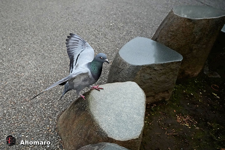 �ʐ^00
