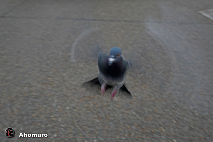 �ʐ^00