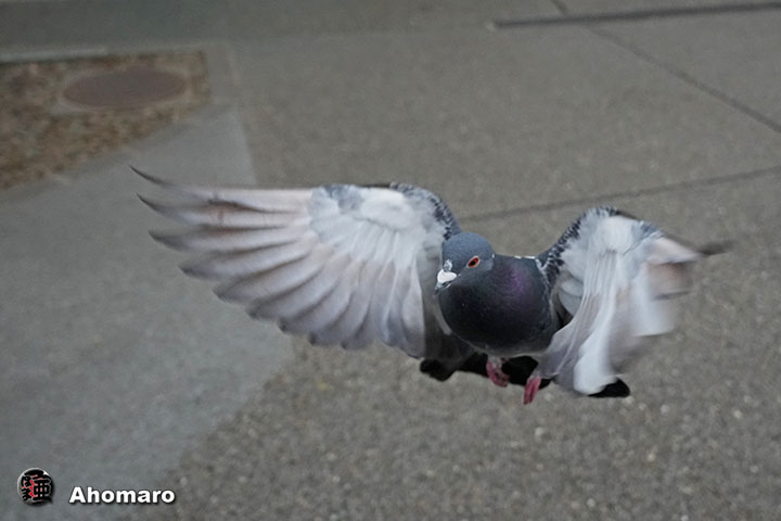 �ʐ^00