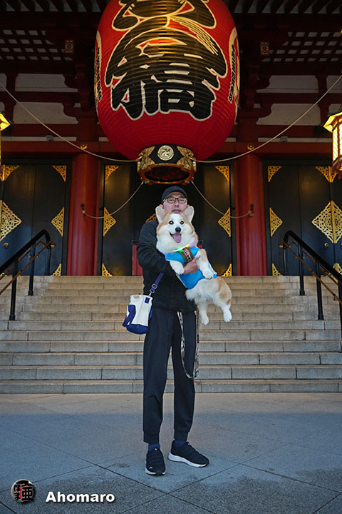�ʐ^00