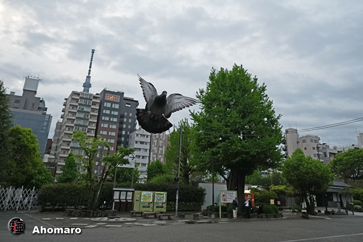 �ʐ^00