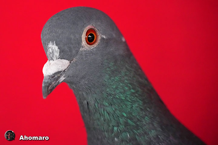 �ʐ^00