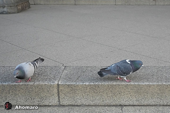 �ʐ^00