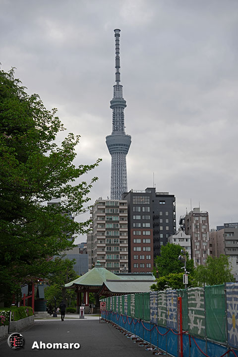 �ʐ^00