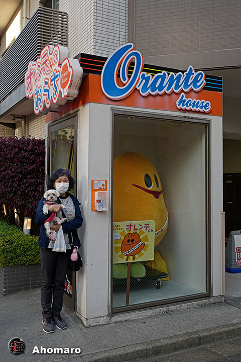 �ʐ^00