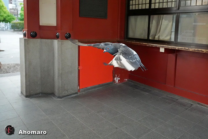 �ʐ^00