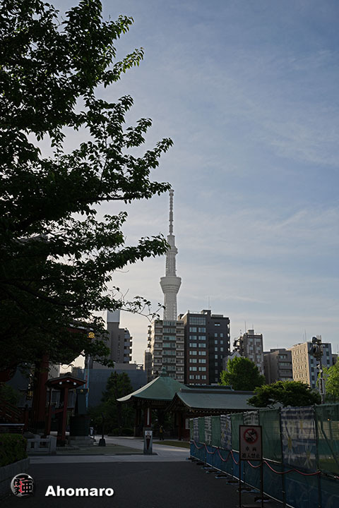�ʐ^00
