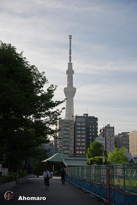 �ʐ^00