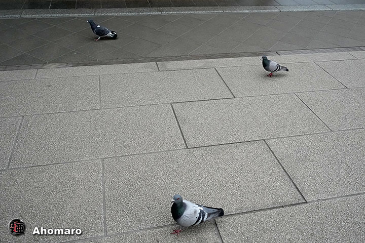 �ʐ^00