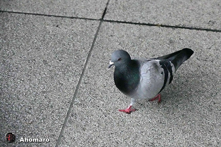 �ʐ^00