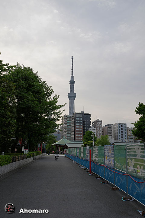 �ʐ^00