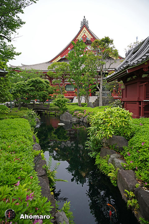 �ʐ^00