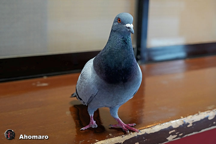 。