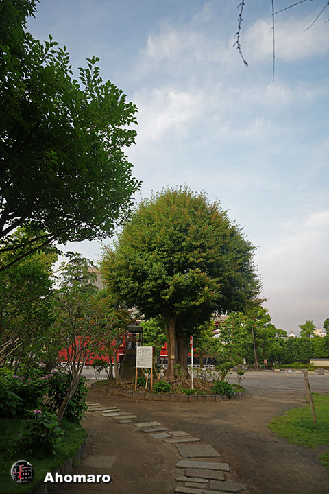 。