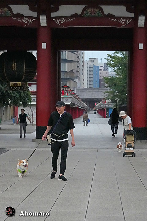 。