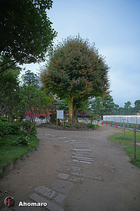 。