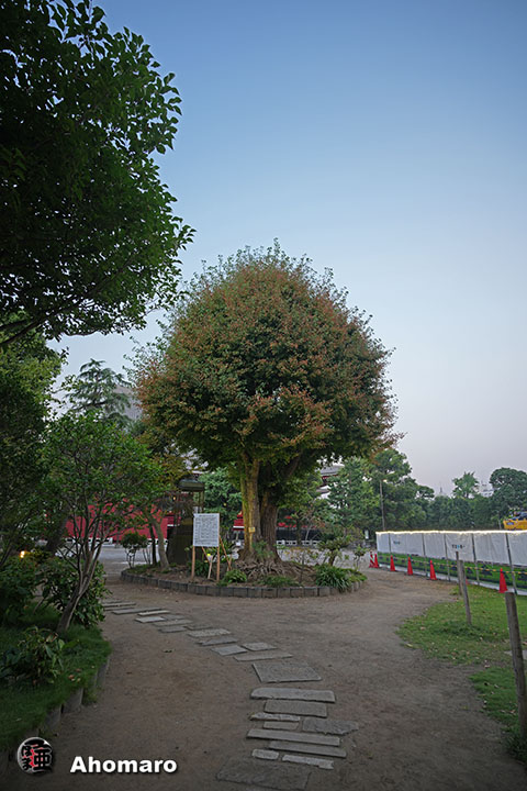 。
