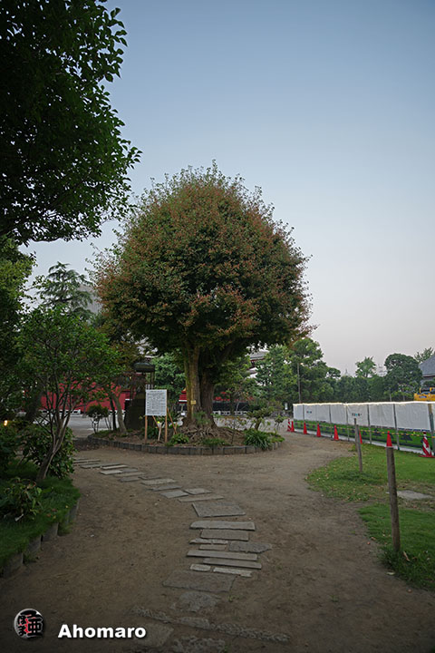 。