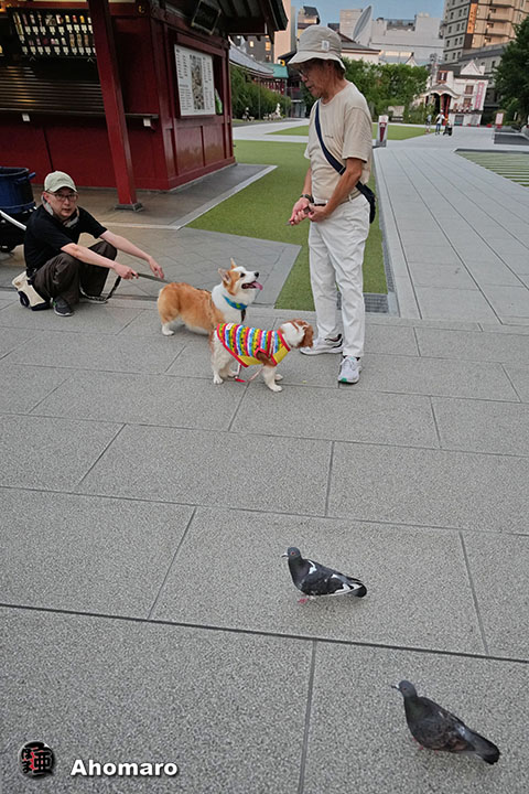 。