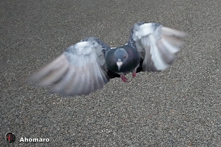 。