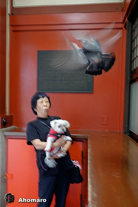 。