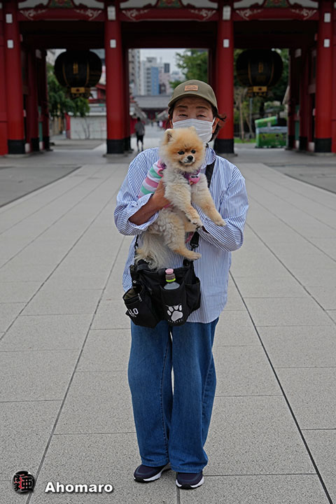。